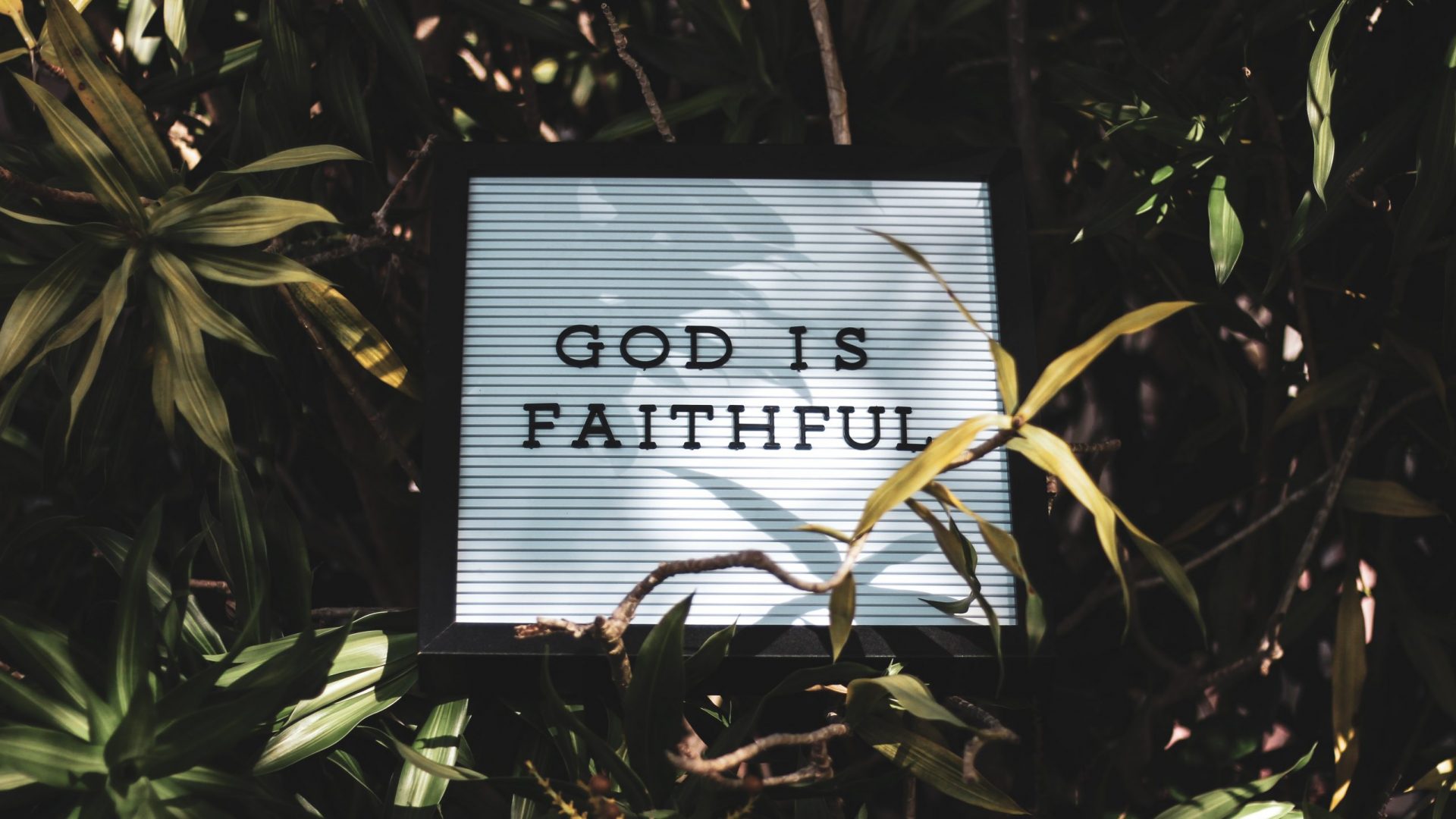 tony-eight-media-iy34kwDyJ4E-unsplash tony-eight-media-iy34kwDyJ4E-unsplash